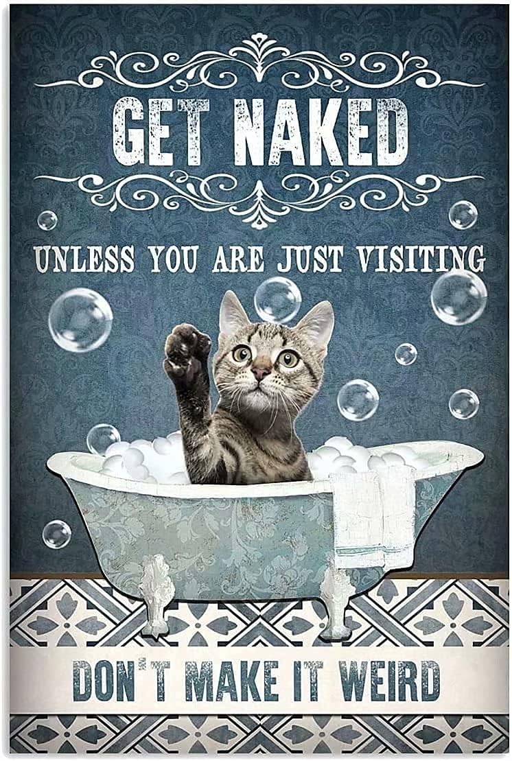 Bathroom Home Visit - Kitten Banyo Metal Tabela, Sadece Ziyaret