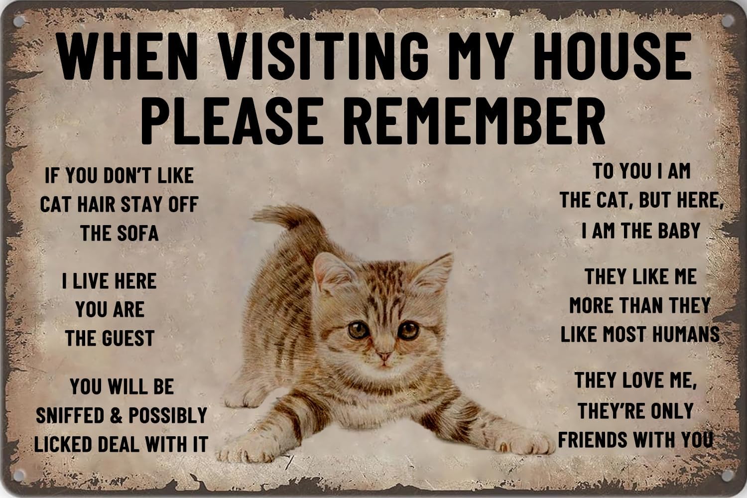 Bathroom Home Visit - Evimi Ziyaret Ettiğinizde Lütfen Unutmayın: Kedi