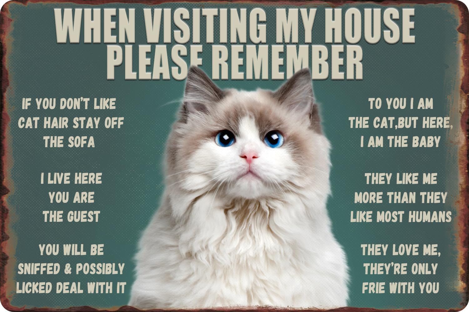Komik Kedi Metal Tabela - Evüm - Bathroom Home Visit incelemesi ve fiyatı